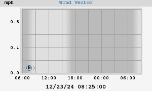 Wind Vector